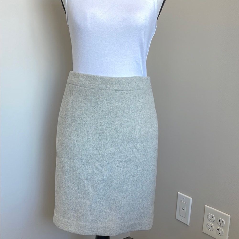 Elegant Gray Women's Skirt
